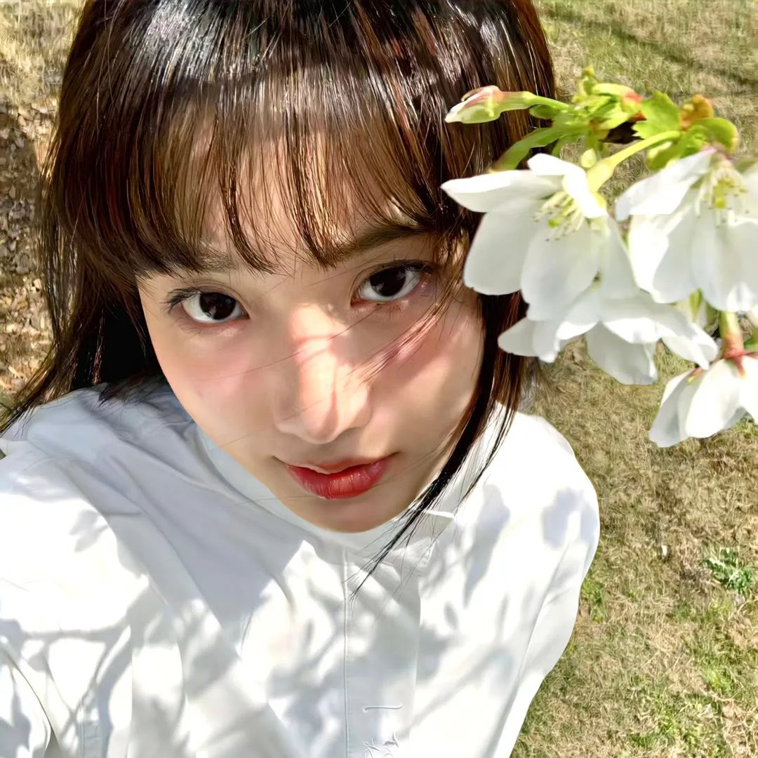 倾城少帅爱上我